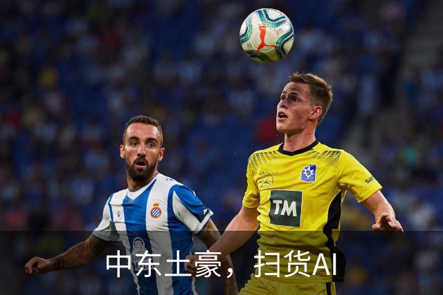 中东土豪，扫货AI